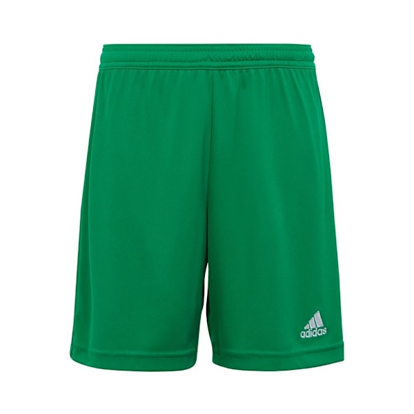 Bukser Adidas Entrada 22 JR Grøn 159 - 164 cm/L