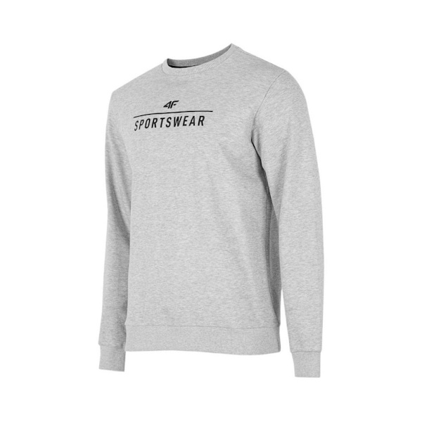 Puserot je Fleecet 4F BLM350 Harmaat 173 - 176 cm/S