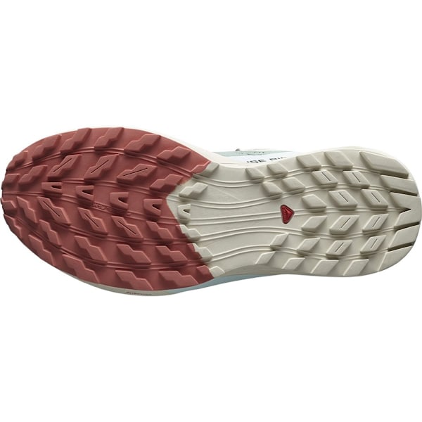 Puolikengät Salomon Sense Ride 5 W Beesit,Harmaat 40 2/3