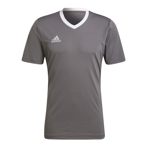 T-shirts Adidas Entrada 22 Grå 164 - 169 cm/S