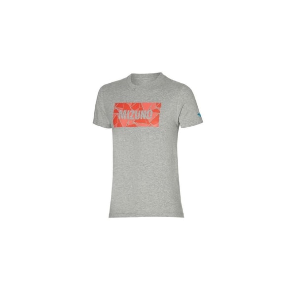 T-shirts Mizuno Athletic Tee Grå 175 - 180 cm/M