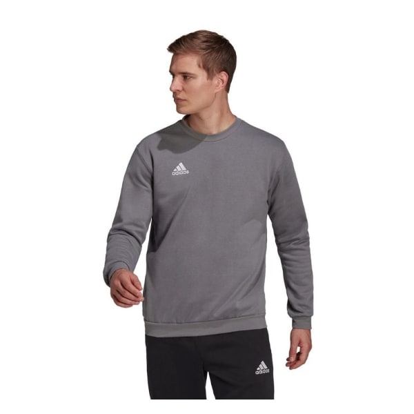 Sweatshirts Adidas Entrada 22 Grå 194 - 199 cm/3XL