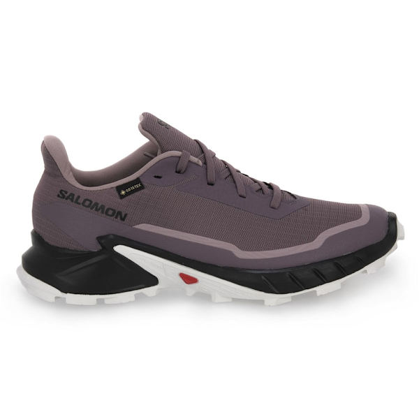 Sneakers low Salomon Alphacross 5 Gtx Lilla 38