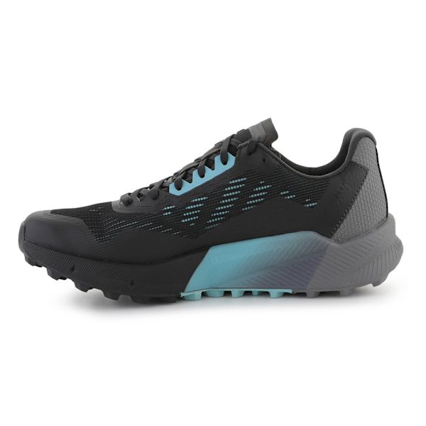 Lågskor Adidas Terrex Agravic Flow 2 Gtx Svarta 40 2/3
