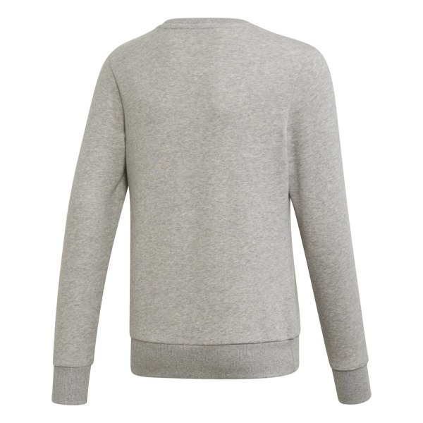 Sweatshirts Adidas Linear Grå 165 - 170 cm/L