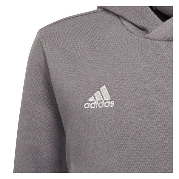Sweatshirts Adidas Entrada 22 Hoody Grå 123 - 128 cm/XS