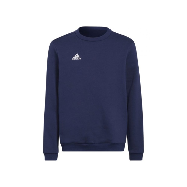 Sweatshirts Adidas Entrada 22 Grenade 105 - 110 cm/4 - 5 år