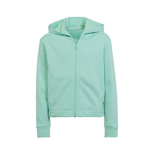 Træningsdragter Adidas HR5840 Grøn 164 - 169 cm/S