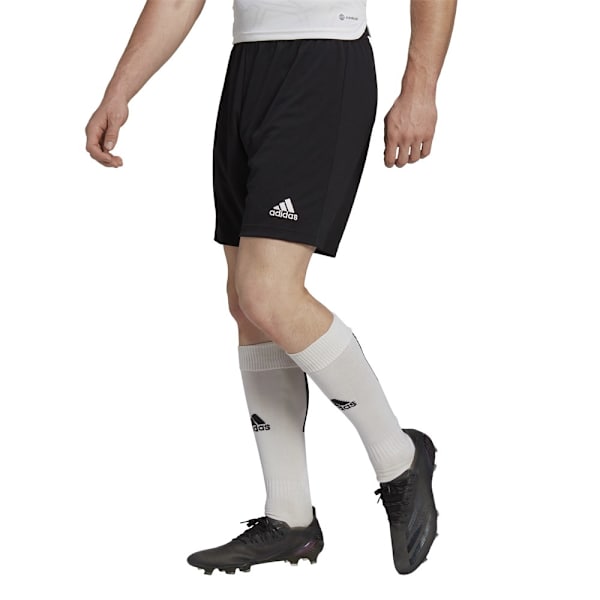 Bukser Adidas Entrada 22 Sort 164 - 169 cm/S