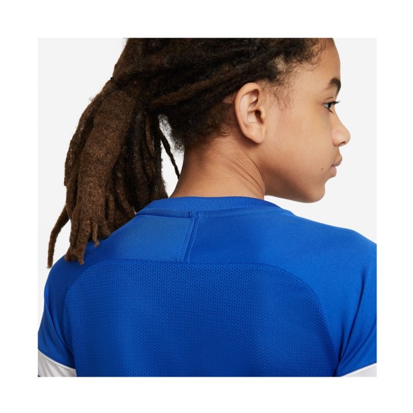 Shirts Nike Drifit Academy Blå 183 - 187 cm/L