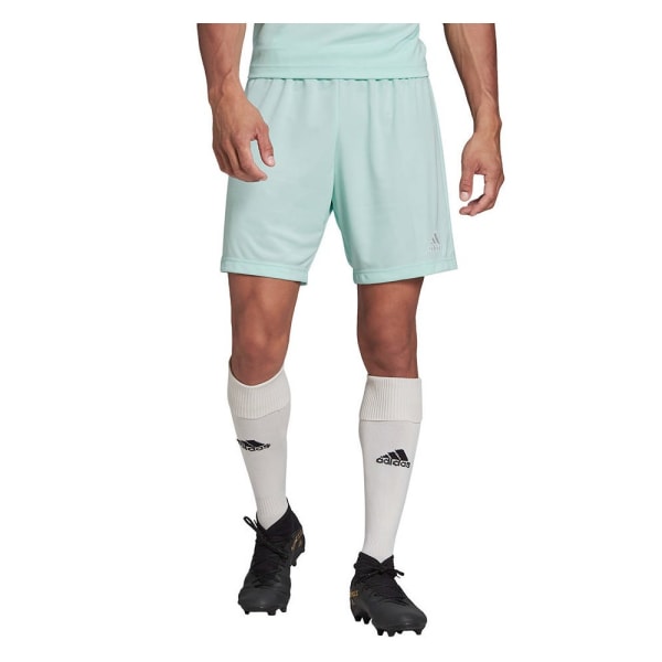 Bukser Adidas Entrada 22 Turkis 188 - 193 cm/XXL