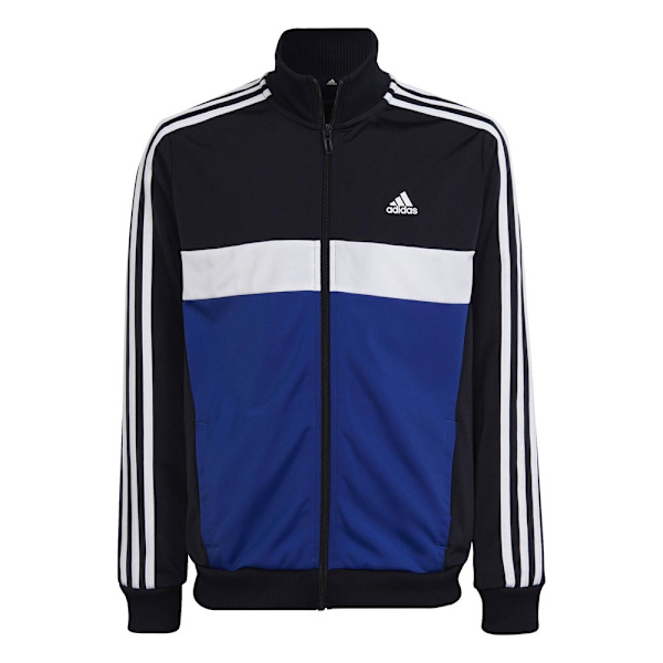 Verryttelypuvut Adidas 3S Tiberio Mustat 171 - 176 cm/XL