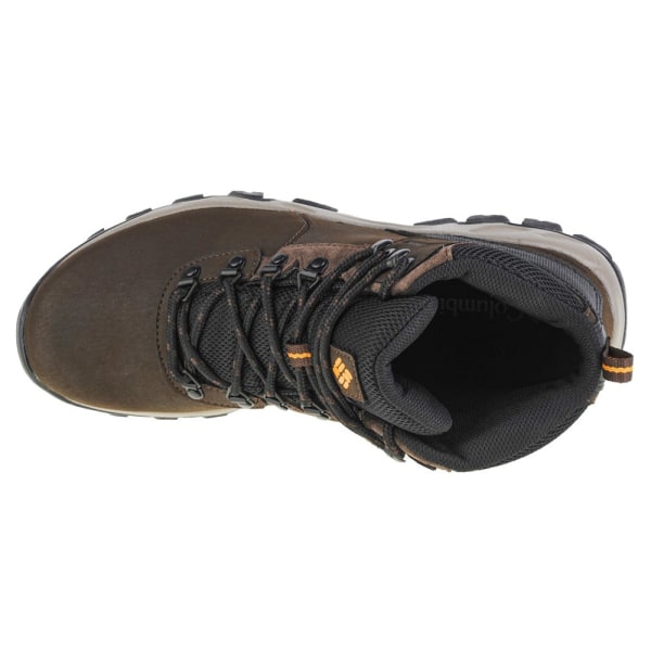 Kengät Columbia Newton Ridge Plus II Ruskeat 41