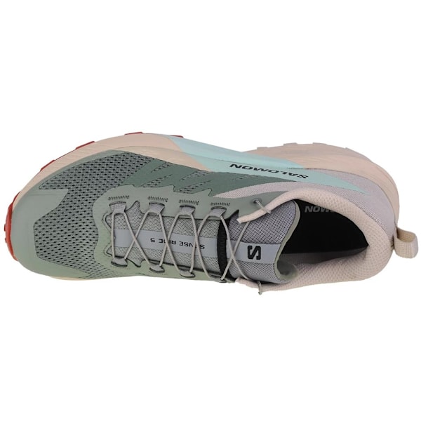 Puolikengät Salomon Sense Ride 5 Beesit,Harmaat 47 1/3