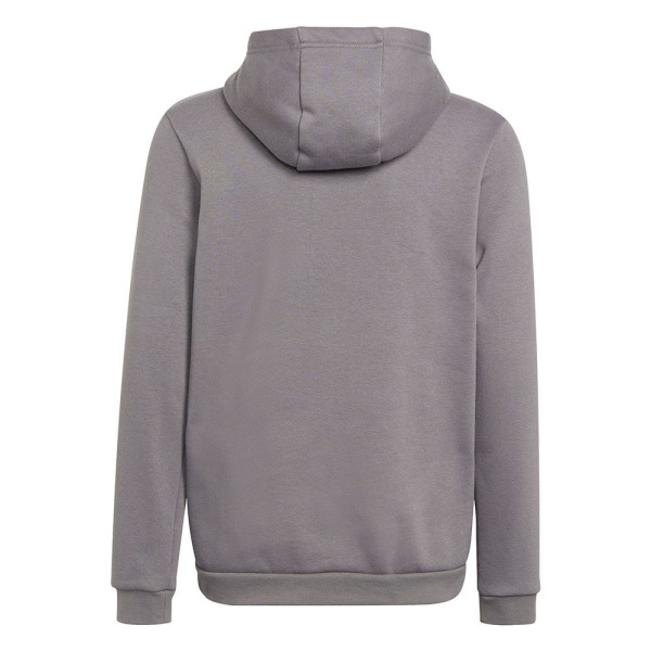 Sweatshirts Adidas Entrada 22 Hoody Grå 147 - 152 cm/M