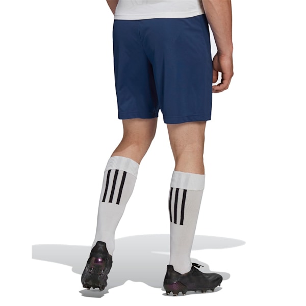 Bukser Adidas Entrada 22 Blå 182 - 187 cm/XL