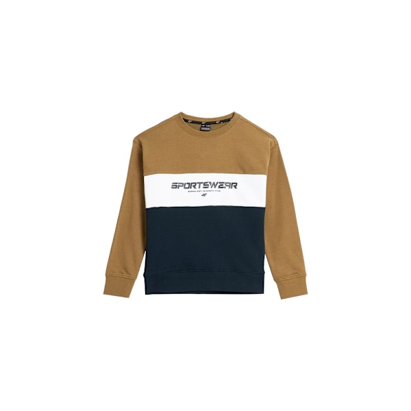 Sweatshirts 4F 4FJAW23TSWSM63074S Flåde,Brun 122 - 127 cm