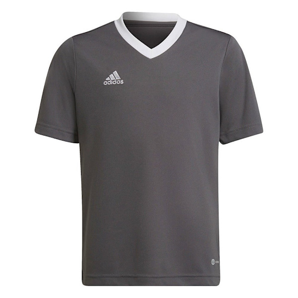 T-shirts Adidas Entrada 22 Jsy Grå 159 - 164 cm/L