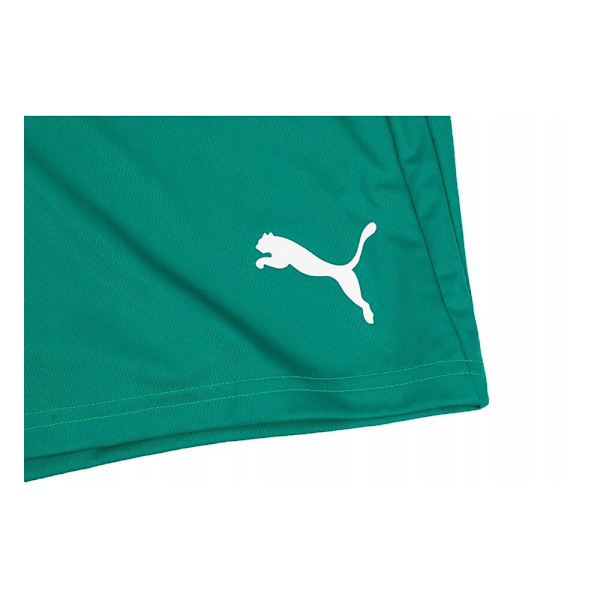 Housut Puma 70492405 Vihreät 182 - 187 cm/L