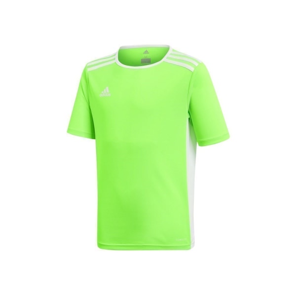 T-shirts Adidas JR Entrada 18 Celadon 111 - 116 cm/XXS