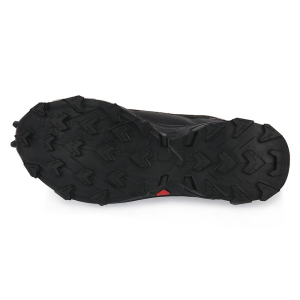 Sneakers low Salomon Alphacross 5 Gtx W Sort 40