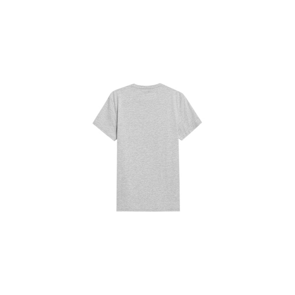 T-paidat 4F SS23TTSHM537CHODNYJASNYSZARYMELAN Harmaat 179 - 182 cm/L