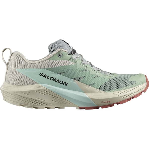 Puolikengät Salomon Sense Ride 5 W Beesit,Harmaat 40 2/3
