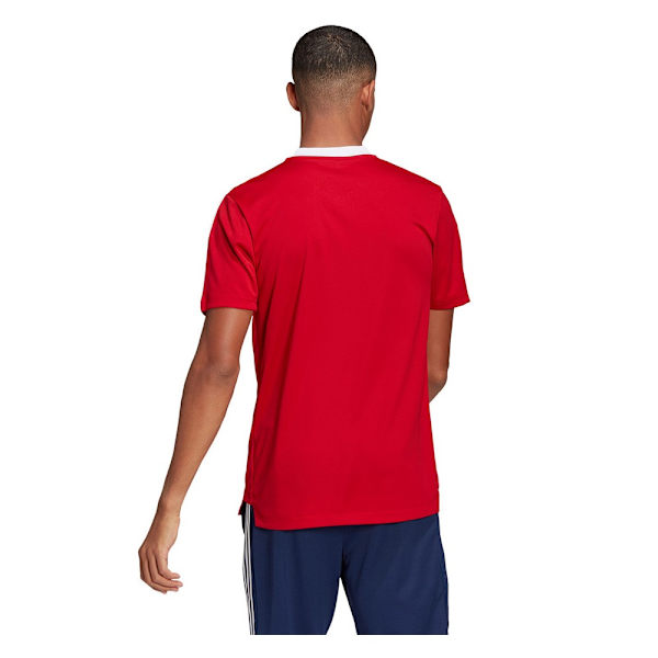 T-paidat Adidas Tiro 21 Punainen 164 - 169 cm/S
