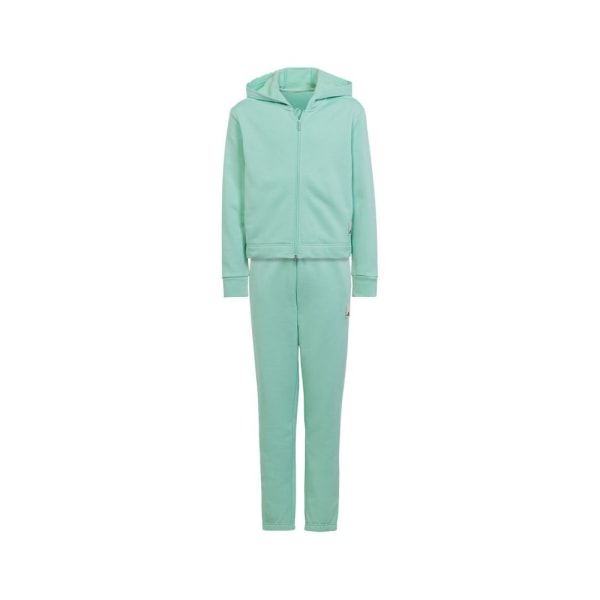 Verryttelypuvut Adidas HR5840 Vihreät 164 - 169 cm/S