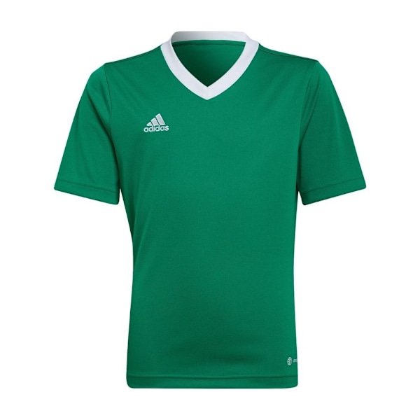 T-paidat Adidas Entrada 22 Vihreät 159 - 164 cm/L