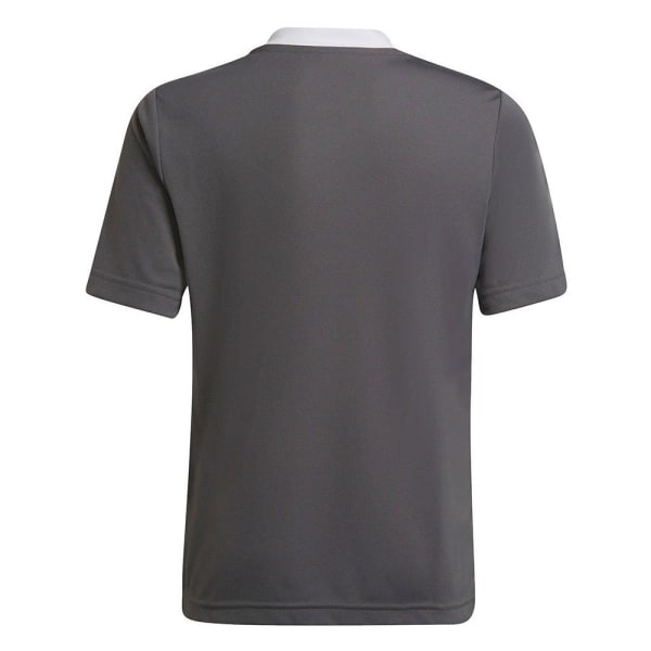 Shirts Adidas Entrada 22 Jsy Gråa 135 - 140 cm/S