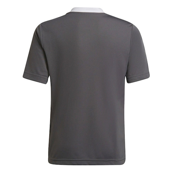T-shirts Adidas Entrada 22 Jsy Grå 159 - 164 cm/L