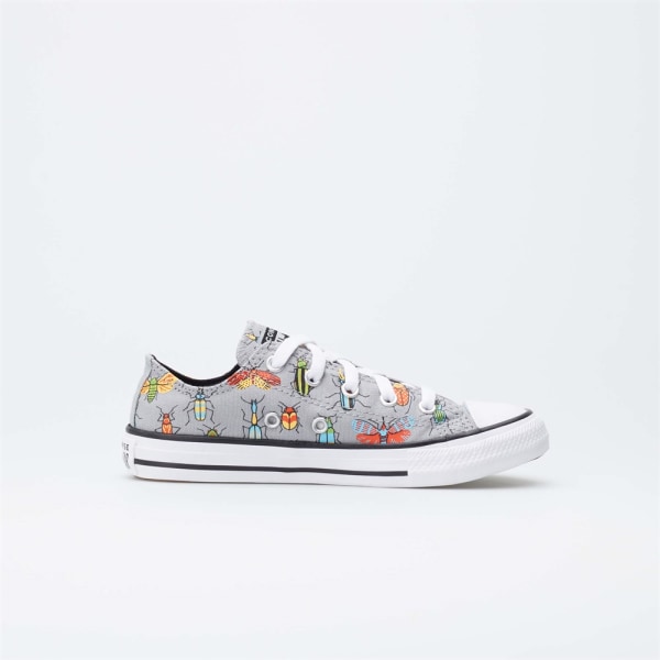 Koripallokengät Converse Chuck Taylor All Star A Bugs World Harmaat 33.5