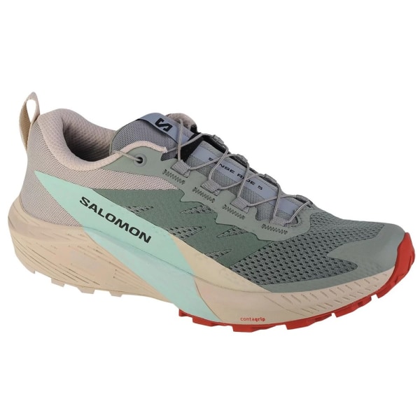 Sneakers low Salomon Sense Ride 5 W Grå,Beige 39 1/3