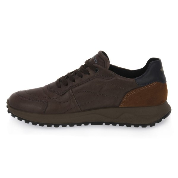 Sneakers low IGI&CO Saronno Brun 44