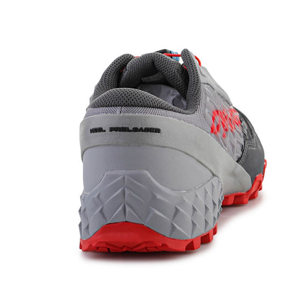 Sneakers low Dynafit Feline Sl Rød,Grå 41