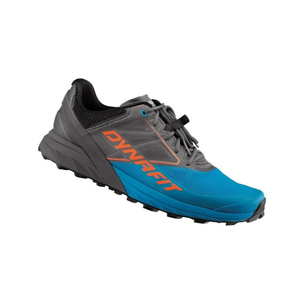 Sneakers low Dynafit Alpine Grå,Blå 41