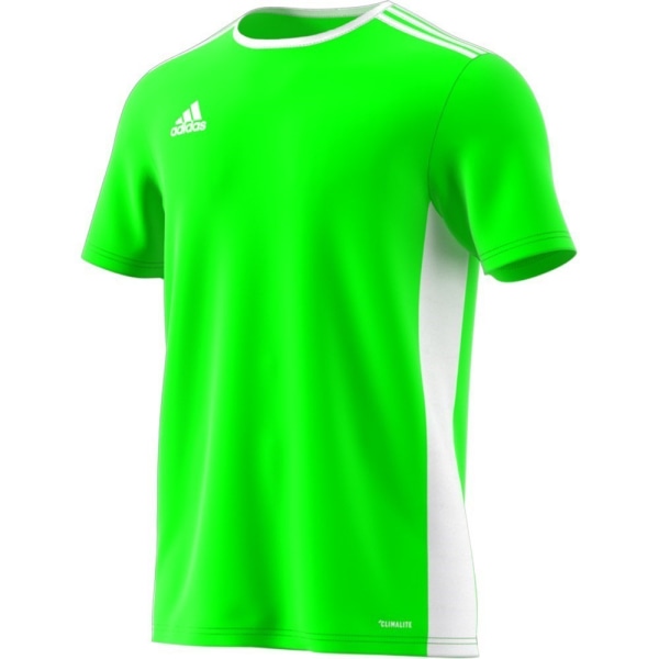 T-shirts Adidas Entrada 18 Grøn 164 - 169 cm/S