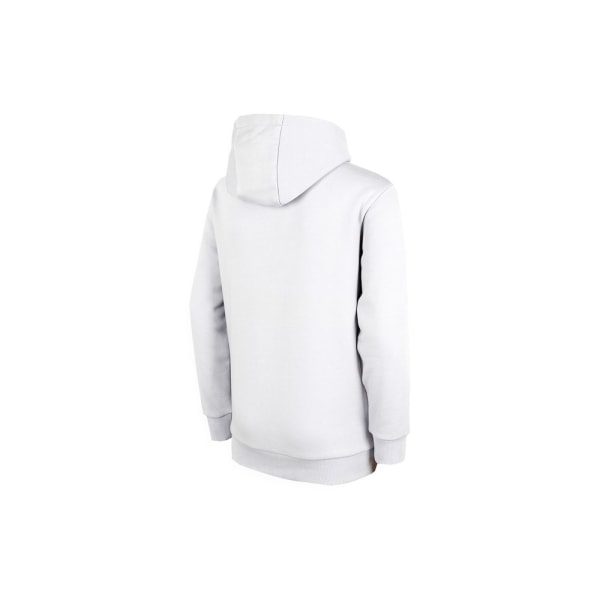 Sweatshirts 4F JBLD003 Gråa 146 - 151 cm