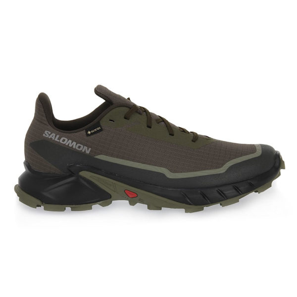 Lågskor Salomon Alphacross 5 Gtx Bruna 41 1/3
