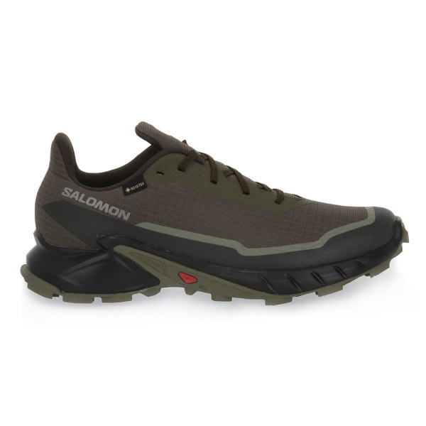 Lågskor Salomon Alphacross 5 Gtx Bruna 42 2/3