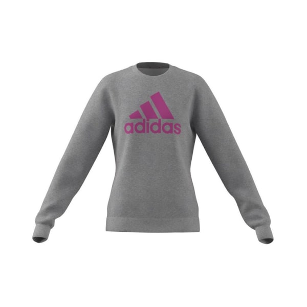 Sweatshirts Adidas Big Logo JR Grå 135 - 140 cm/S