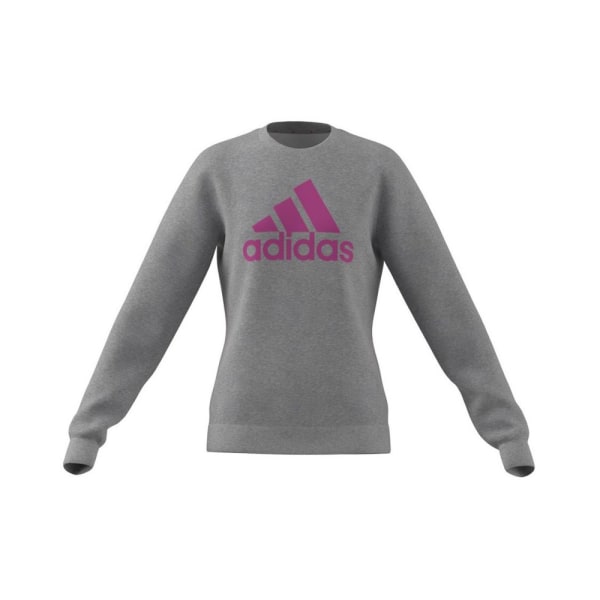 Sweatshirts Adidas Big Logo JR Gråa 135 - 140 cm/S