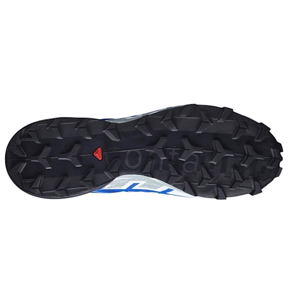 Kengät Salomon Speedcross 6 Gtx Vaaleansiniset 44