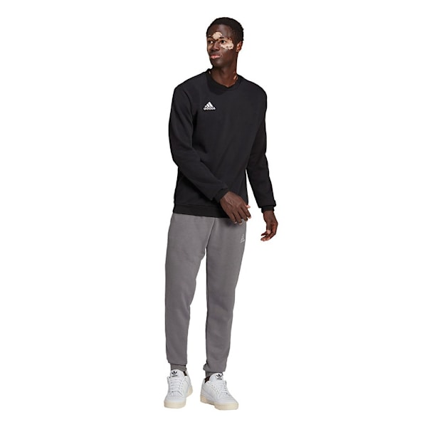 Sweatshirts Adidas Entrada 22 Sort 176 - 181 cm/L