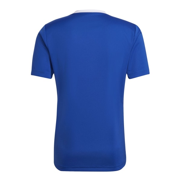 Shirts Adidas Entrada 22 Blå 164 - 169 cm/S