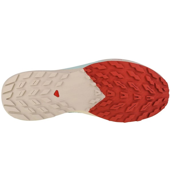 Puolikengät Salomon Sense Ride 5 Beesit,Harmaat 44