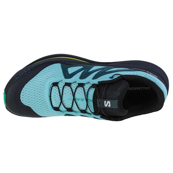 Lågskor Salomon Pulsar Trail Blå 48