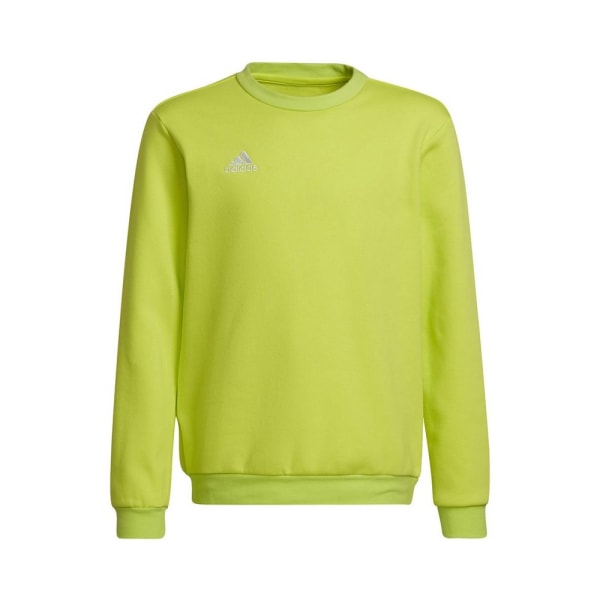 Sweatshirts Adidas Entrada 22 Sweat Top Grøn 135 - 140 cm/S