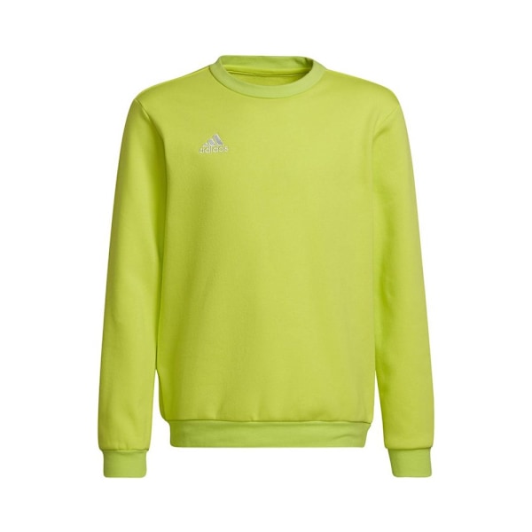 Sweatshirts Adidas Entrada 22 Sweat Top Gröna 159 - 164 cm/L